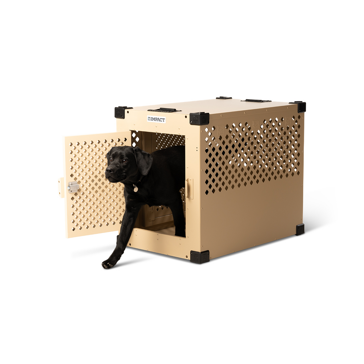 Stationary Dog Crate
